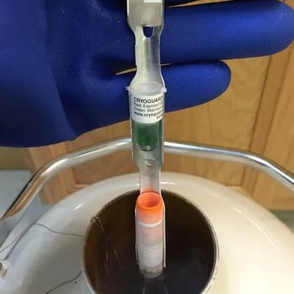 Cryoguard™ Thermal Exposure Indicators