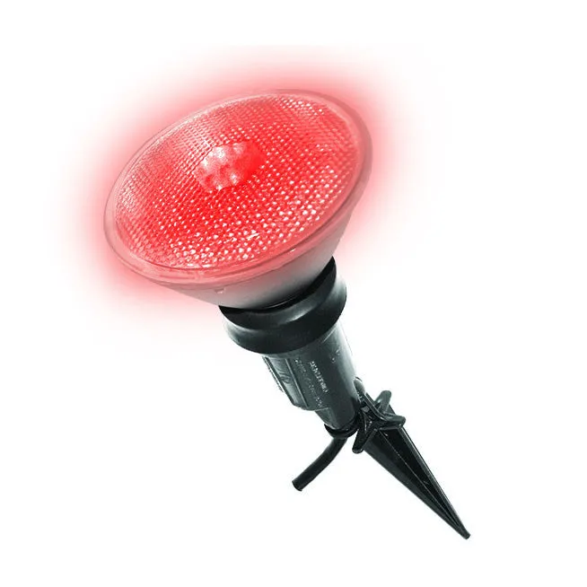 LED Flood Light
