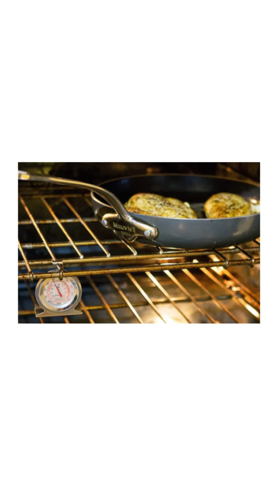 Oven Thermometer