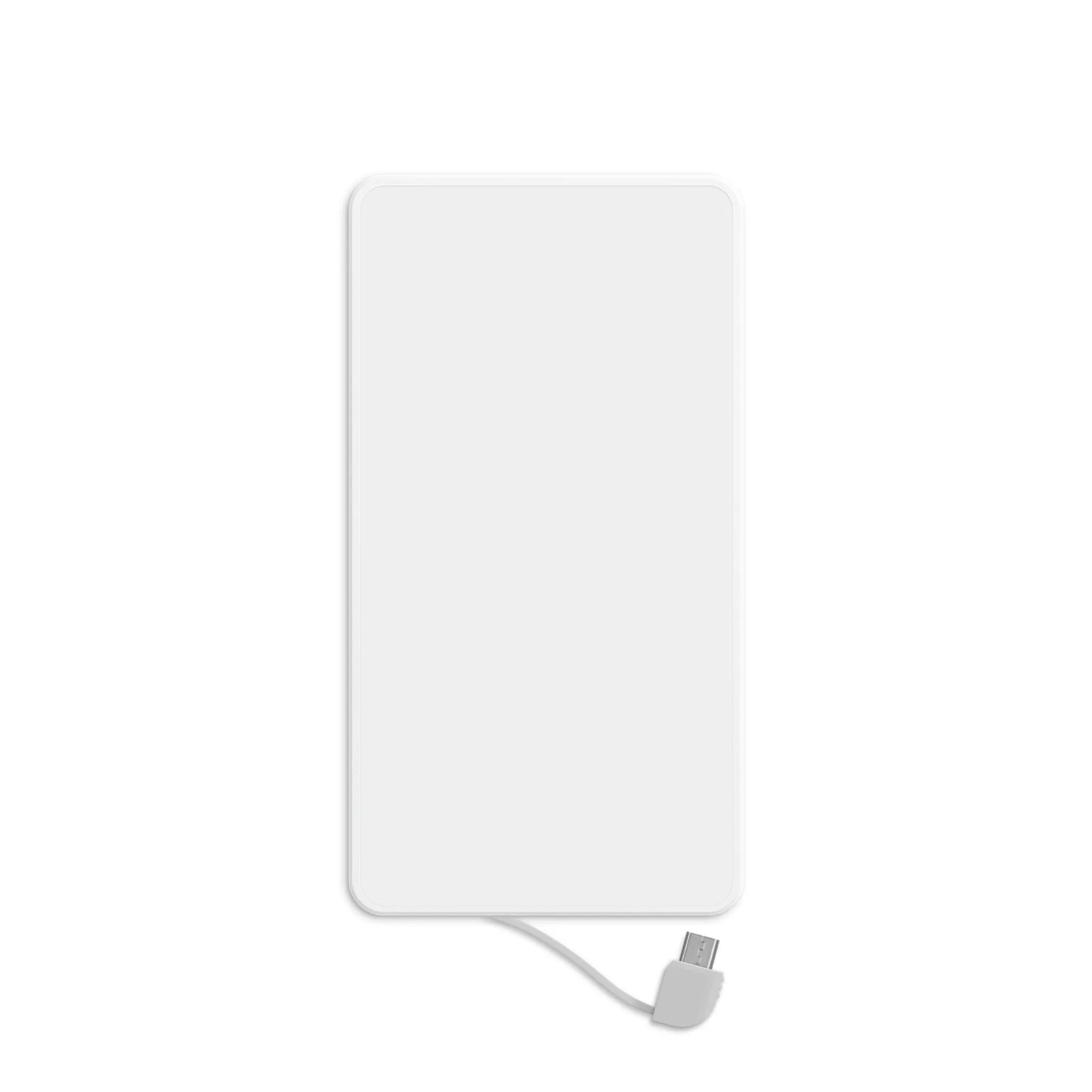Power Bank - ZyLab