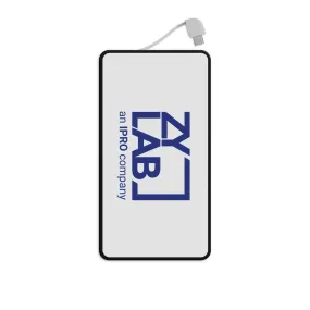 Power Bank - ZyLab