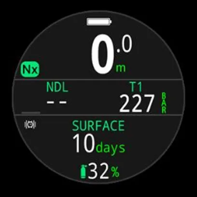Shearwater Tern Dive Computer