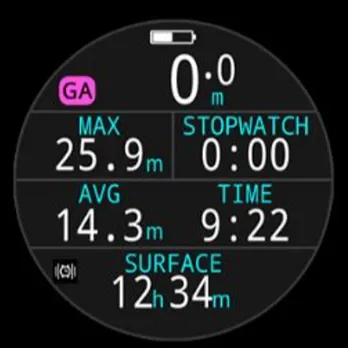 Shearwater Tern Dive Computer