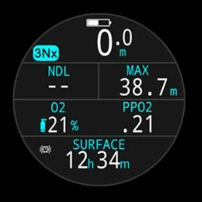 Shearwater Tern Dive Computer